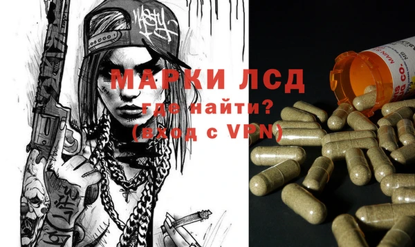 гашик Алзамай