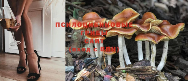 трава Алексеевка