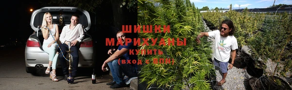 трава Алексеевка