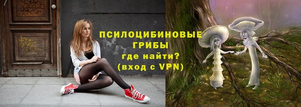 гашик Алзамай