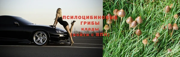 гашик Алзамай