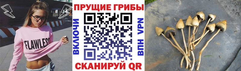 Псилоцибиновые грибы мицелий  Харовск 